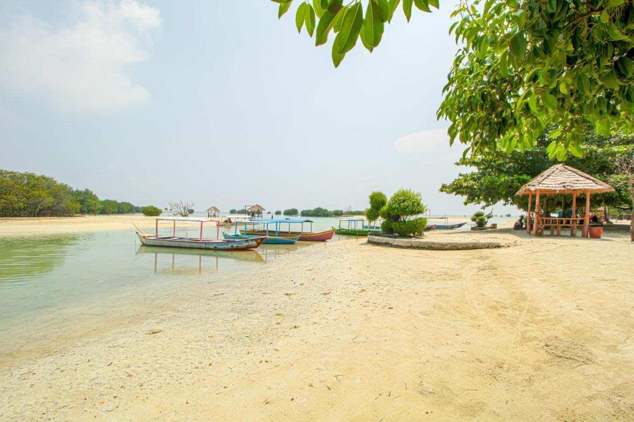 Guerilla Dive Lodge Pulau Pari Jakarta Exterior foto